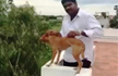 Social media help identify man who flung dog off roof; hunt still on